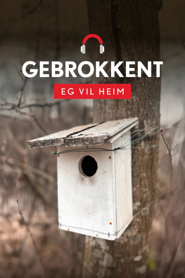 TVL_Gebrokken_1080x1620px